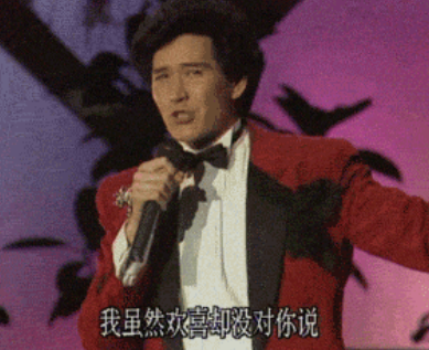 费翔的老婆(费翔与刘文正什么关系)插图53