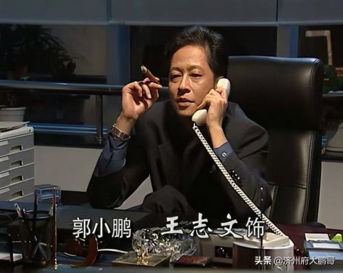 黑冰剧情介绍(黑冰全部演员表人物介绍)插图1