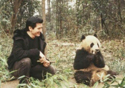 费翔的老婆(费翔与刘文正什么关系)插图62