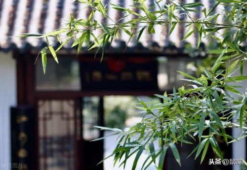 清平乐村居的意思(宿新市徐公店的意思)插图