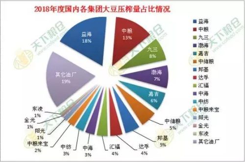 进口豆油产量排名前十(中国豆油消费量)插图