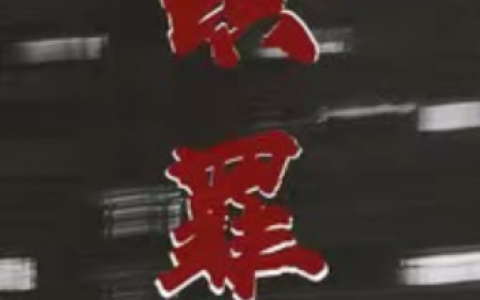 女生黑道小说排行榜(好看的黑道小说推荐)