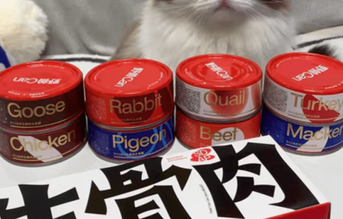 猫罐头推荐排名前十(珍致猫罐头怎么样)插图17