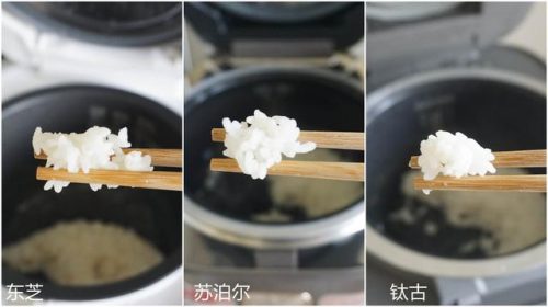 进口电饭锅品牌排行榜(世界十大品牌电饭煲)插图19