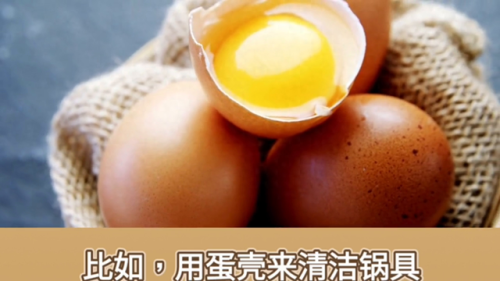 乌鸡蛋营养排名前十(绿壳乌鸡蛋的营养价值)插图