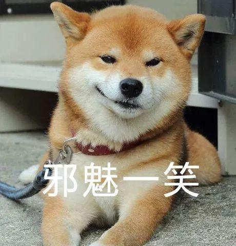 崇州农家乐排行榜(崇州环境最好农家乐)插图2