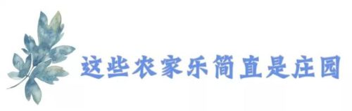 崇州农家乐排行榜(崇州环境最好农家乐)插图26