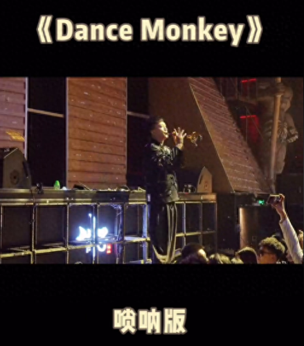 十大唢呐电音曲目排行榜(唢呐电音完整版)插图7