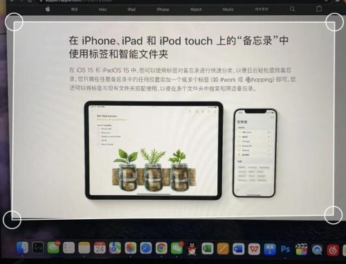 备忘录格式(备忘录格式怎么调整)插图9