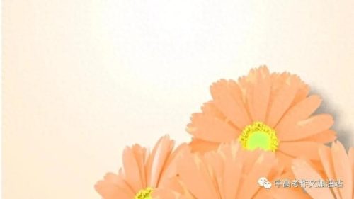 十大网文素材排行榜最新(网文写作十大禁忌)插图
