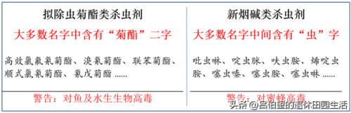韩国除虫神器排名前十(日本除螨产品)插图
