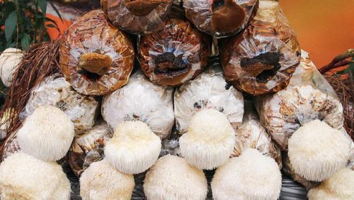 健脾胃食物排行榜(健脾胃最强的5种食物)插图6