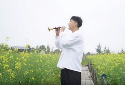 十大唢呐电音曲目排行榜(唢呐电音完整版)插图14