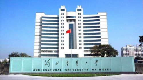 河北省大学排行榜(河北最好的十大大学)插图4