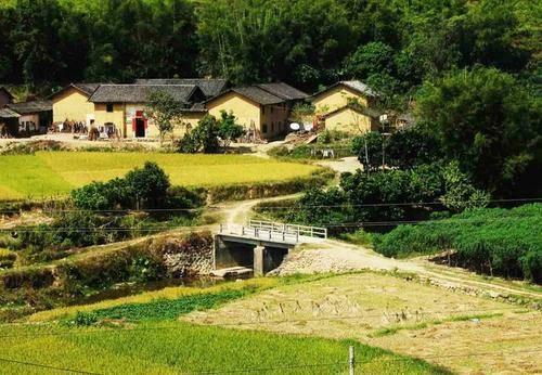 故乡全文(我在这头,故乡在那头)插图