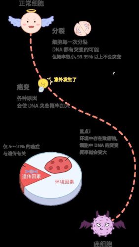 致癌物排行榜(世界十大致癌物食物)插图2