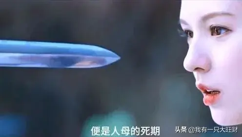 海大鱼电视剧(海大鱼一共多少集)插图8