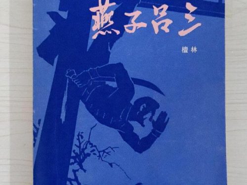 侠骨丹心剧情(侠骨丹心欧阳露馅)插图4
