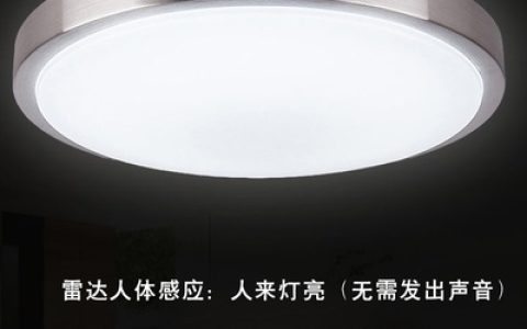 中国品牌洞箫排行榜(中国品牌灯具照明品牌排行榜)