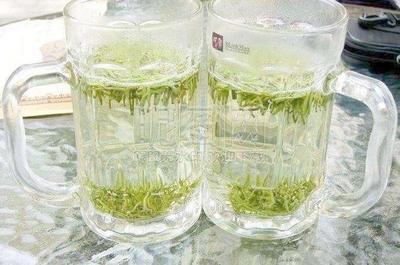 果茶饮十大排行榜(2021中国茶饮十大排行榜)插图1