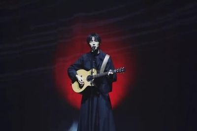 十大网红歌手排行榜(西安网红歌手排行榜)插图