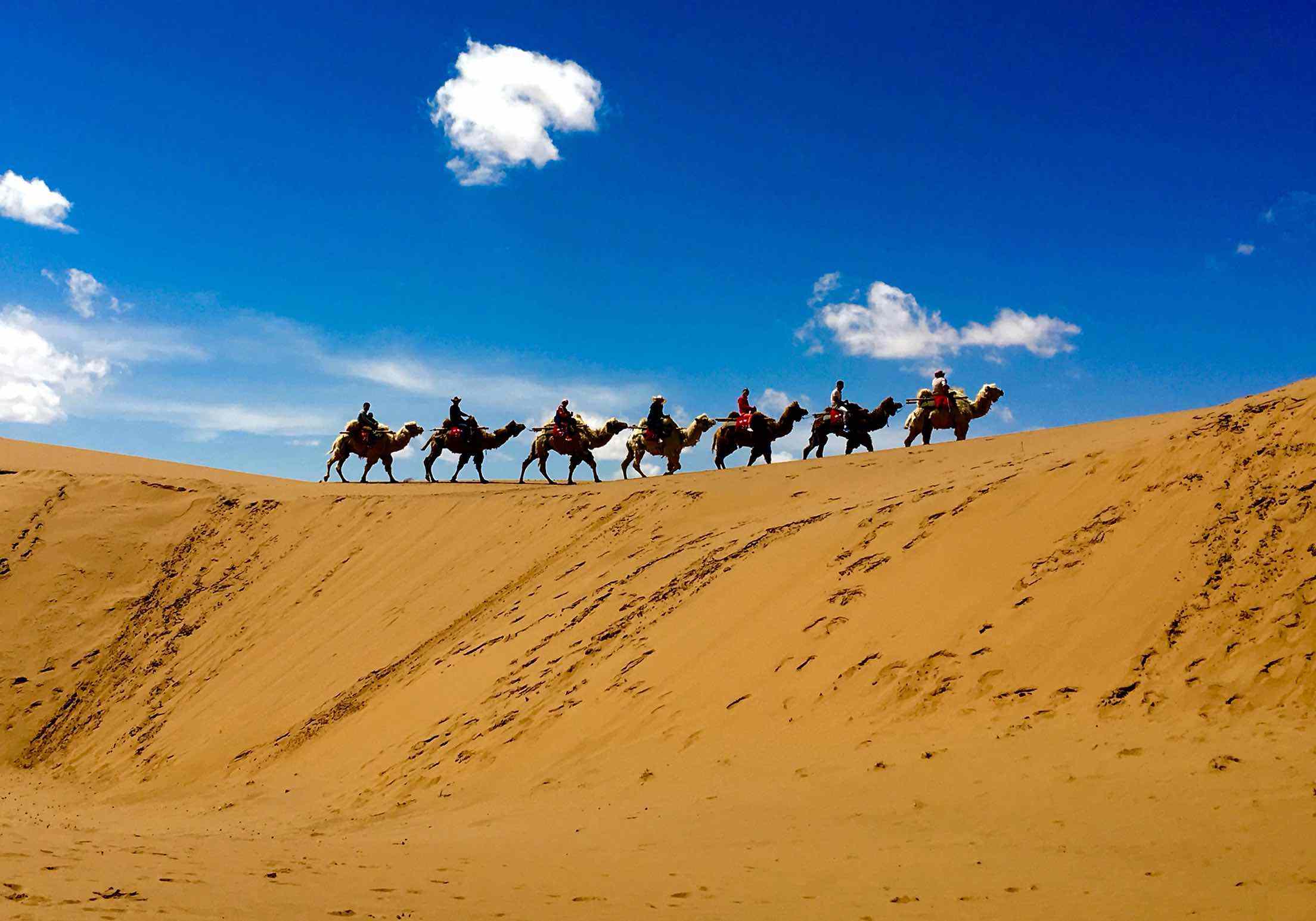 陕西十大旅游差评排行榜(陕西旅游十大必去地方)插图