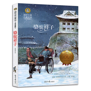 中国课外名著排行榜(中国名著小说排行榜100名)插图1