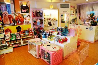 全国十大孕婴品牌排行榜(全国十大全屋定制品牌排行榜)插图