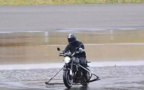 中国十大女骑士排行榜最新(十大骑士类小说排行榜)