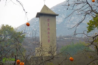 中国寿星村排行榜(河南十大寿星排行榜)插图