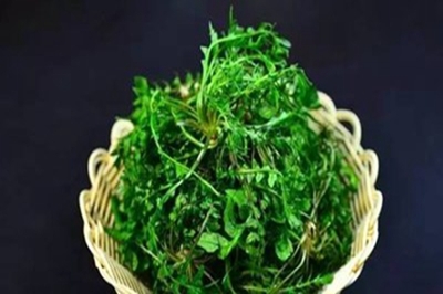 抗癌野菜十大排行榜(十大抗癌野菜图片)插图