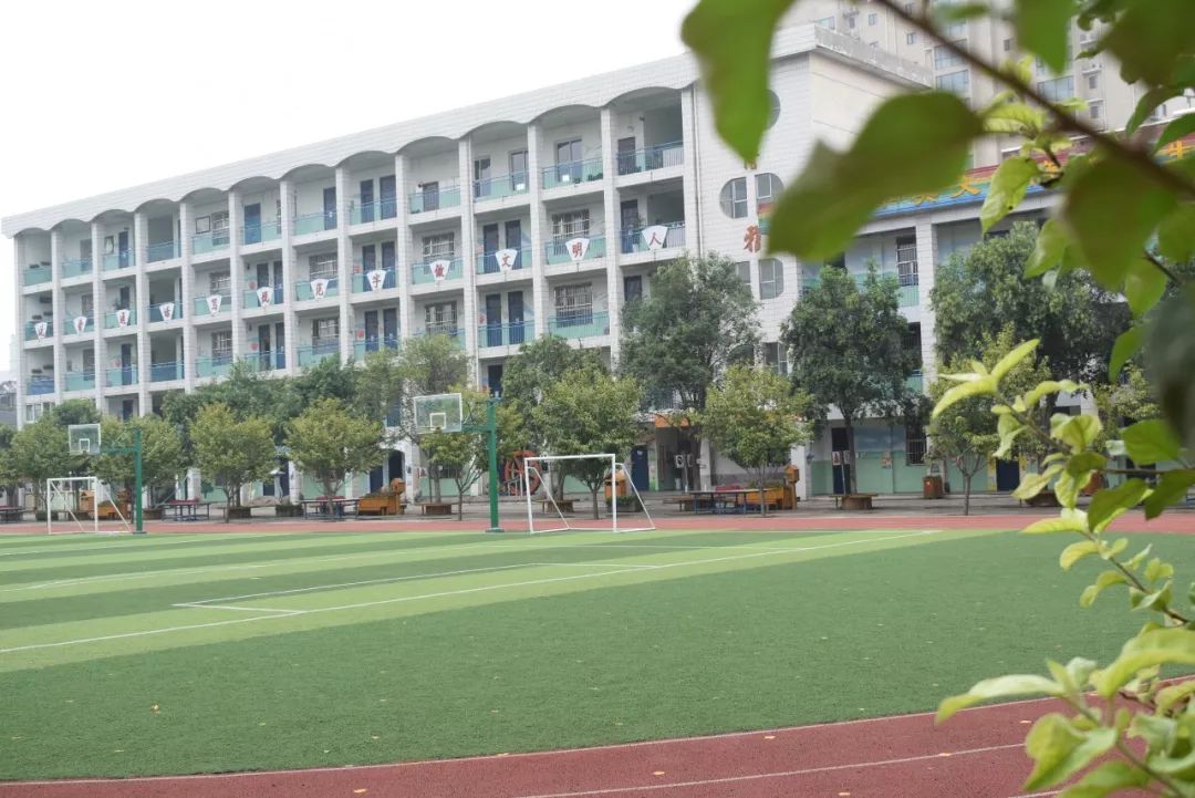 南宁十大最差的小学排行榜(十大最差零食排行榜)插图