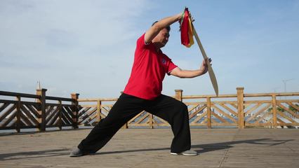 中国现在武术排行榜(现代武术排行榜前十名)插图