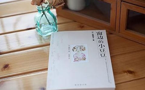 中国静心小镇排行榜(静心书籍排行榜)