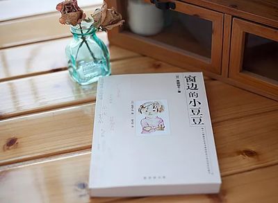 中国静心小镇排行榜(静心书籍排行榜)插图
