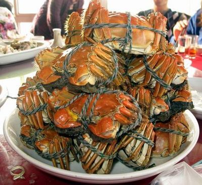 阳西美食十大排行榜(阳西十大特色美食)插图
