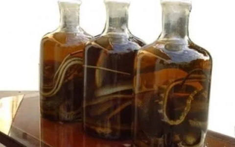 中国十大香油品牌排行榜(南阳香油品牌排行榜)