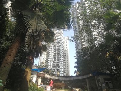 中国十大有名小区排行榜(三亚有名小区排行榜)插图1