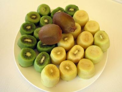 奇异果十大品牌排行榜(奇异果十大产品排行榜)插图1
