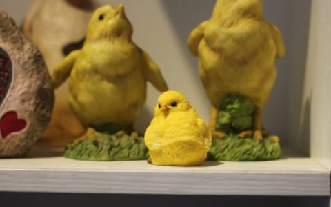 中国十大著名展会排行榜最新(中国十大著名土鸡排行榜)