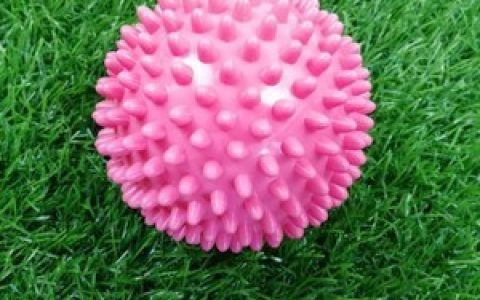 高压球十大品牌排行榜最新(钢丝球十大品牌排行榜)