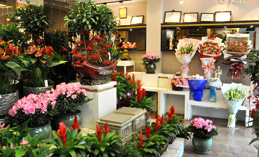 全国知名花店排行榜十大(全国十大花店加盟排行榜)插图