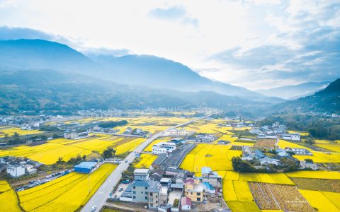 中国首富排排行榜(中国首富排行榜2021最新排)