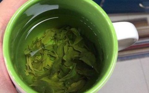 西藏绿茶十大排行榜(十大绿茶排行榜图片)
