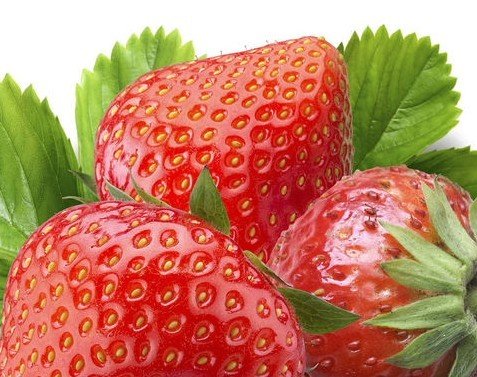 世界十大养生食物排行榜(十大养生软件app排行榜)插图1