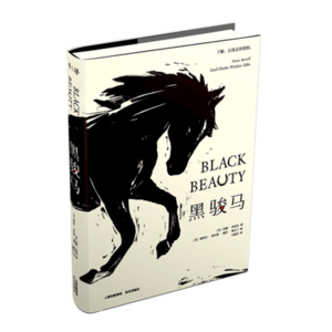 黑暗小说十大排行榜(十大反黑暗扎基小说排行榜)插图7