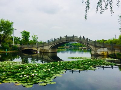中国国家院士排行榜(院士排行榜大学)插图