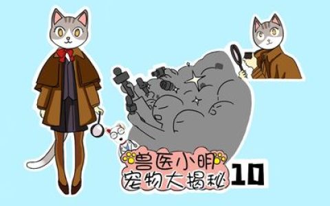 全国十大推理家排行榜图片(十大推理动漫排行榜)