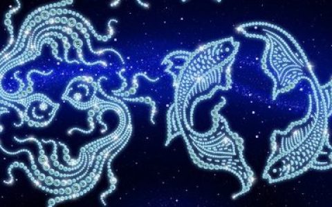 中国十大喜剧星座排行榜(十二星座渣女排行榜十大)