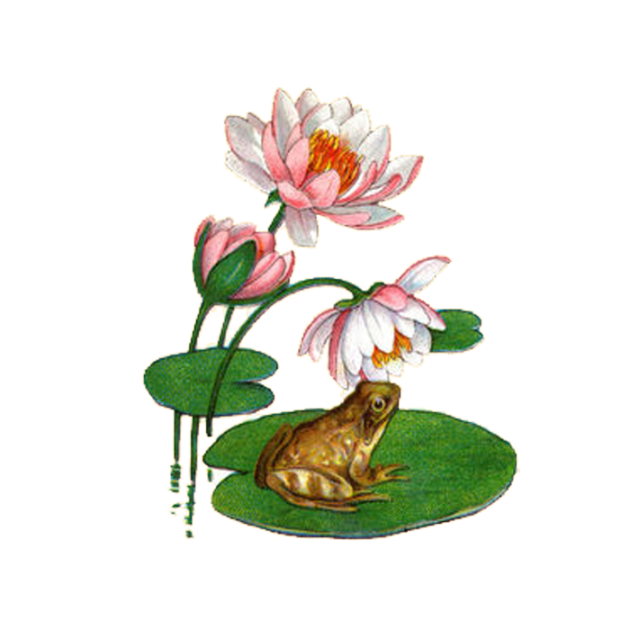 mac十大抠图软件排行榜(mac上抠图软件)插图